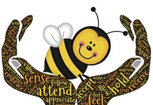 bee keeping beehives, looking after bees